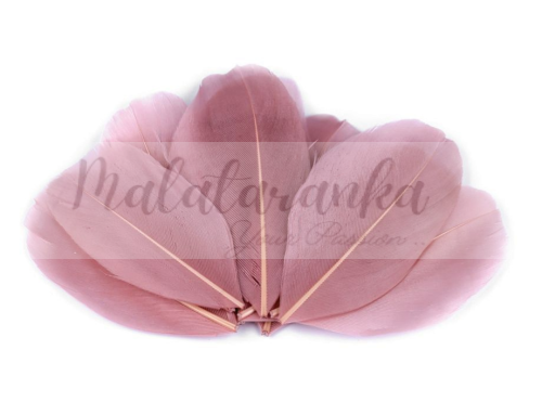 Czubki gęsich piór 5-7 cm STARY RÓŻ