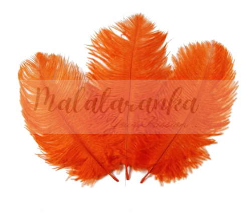Strusie pióra 12-15 cm POMARAŃCZOWY