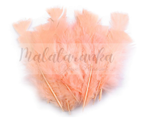 Indycze pióra Długie 11-17 cm ŁOSOSIOWE