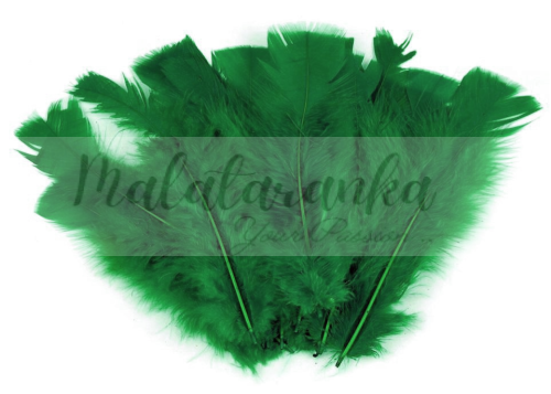 Indycze pióra Długie 11-17 cm CIEMNO ZIELONE