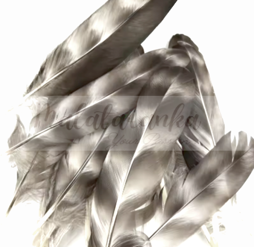 743.png