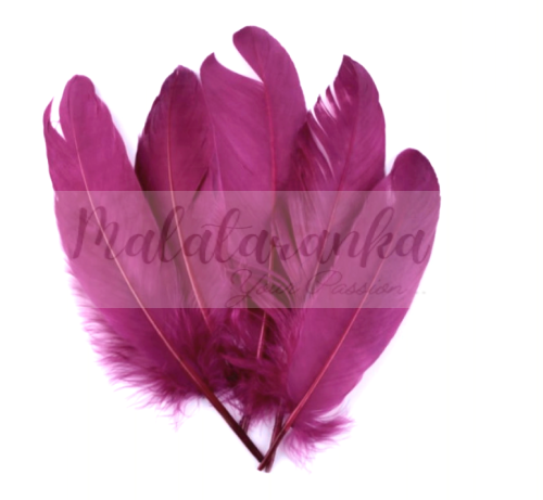 Pióra gęsie lotki Duże 13-18 cm FIOLETOWORÓŻOWY