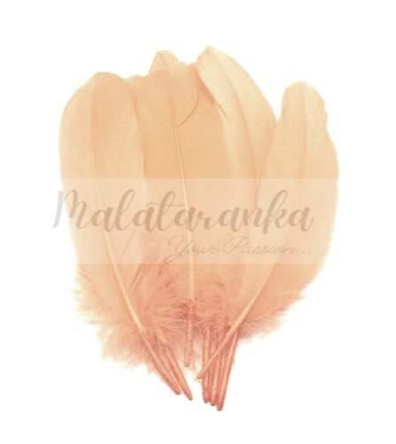 Pióra gęsie lotki Duże 13-18 cm BRZOSKWINIOWY