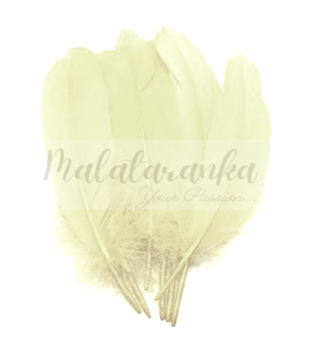 Pióra gęsie lotki Duże 13-18 cm ŻÓŁTY Migdałowy