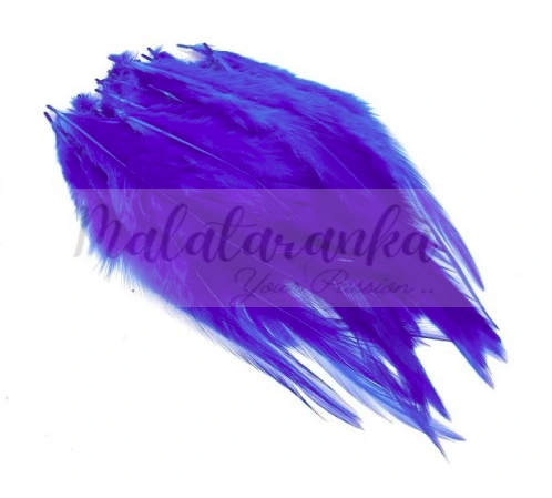 Pióra siodłowe koguta 10-15 cm CHABROWY