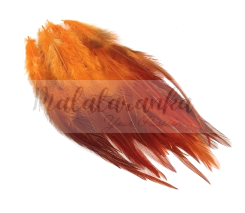 Pióra siodłowe koguta 10-15 cm POMARAŃCZOWY OMBRE