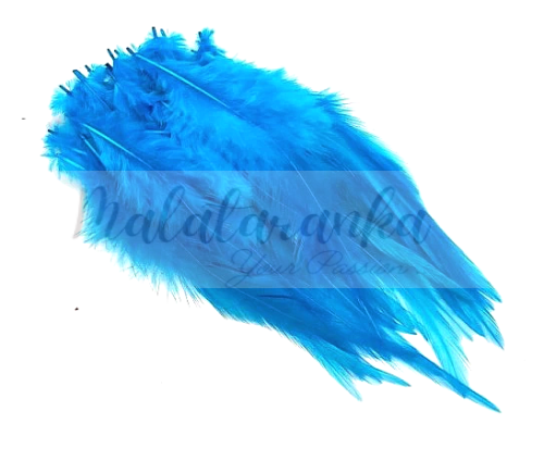 Pióra siodłowe koguta 10-15 cm TURKUSOWY