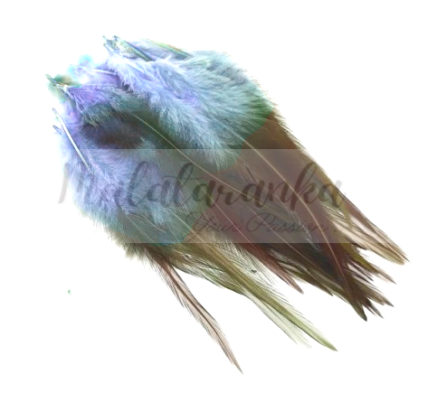 nieb braz — kopia.pngPióra siodłowe koguta 10-15 cm NIEBIESKI OMBRE