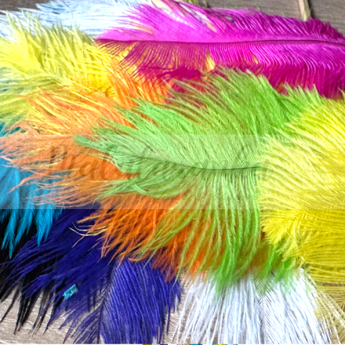 Strusie pióra 12-15 cm MIX KOLORÓW 25 szt 2 gatunek