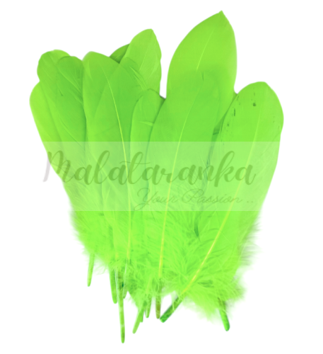 Pióra gęsie lotki Duże 13-18 cm ZIELONY LIMONKOWY