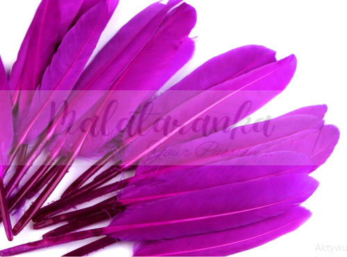 Pióra lotki kacze 9-14 cm PURPUROWY
