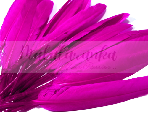 Pióra lotki kacze 9-14 cm FUKSJA