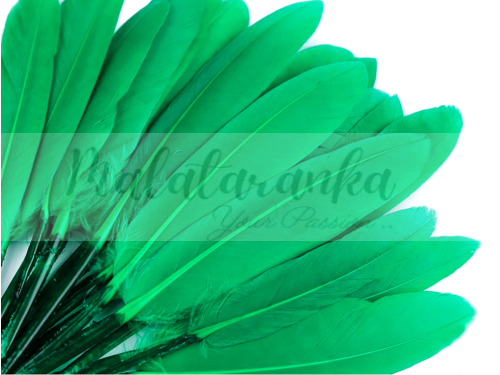 Pióra lotki kacze 9-14 cm ZIELONY