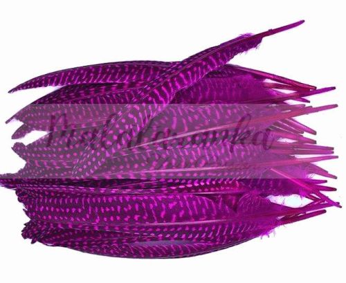 Perliczka Perlica pióra lotka 15-20 cm FUKSJA