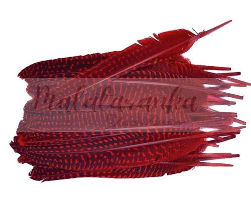 Perliczka Perlica pióra lotka 15-20 cm CZERWONY