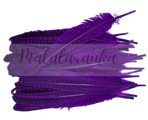 Perliczka Perlica pióra lotka 15-20 cm FIOLETOWY