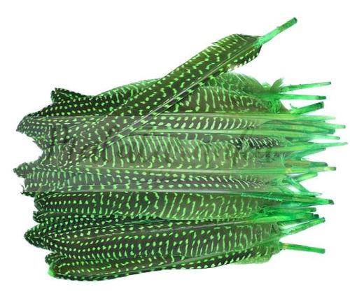 Perliczka Perlica pióra lotka 15-20 cm ZIELONY JASNY