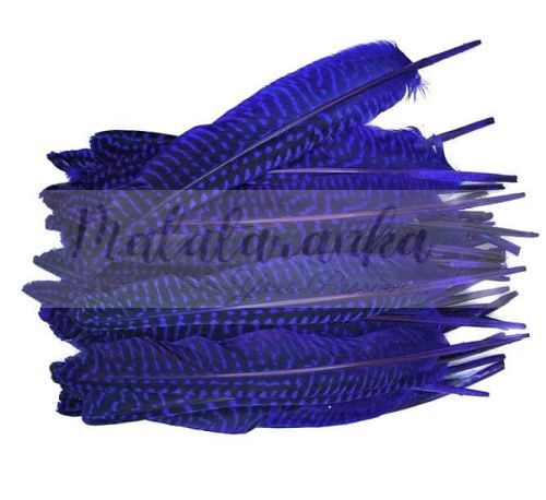 Perliczka Perlica pióra lotka 15-20 cm CHABROWY