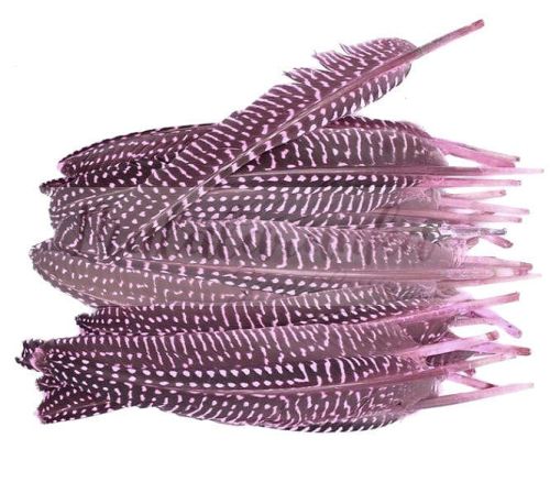 Perliczka Perlica pióra lotka 15-20 cm RÓŻOWY