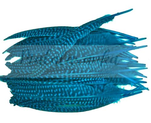 Perliczka Perlica pióra lotka 15-20 cm TURKUSOWY