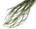 Pióra do włosów mieszane 23-25 cm Green Olive 20 szt