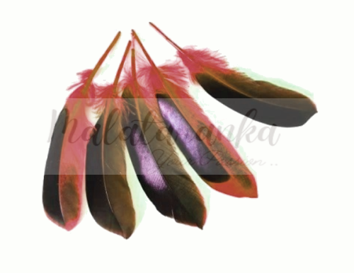 Pióra kacze Mallard lotki 10-14 cm BRĄZOWO CZERWONY