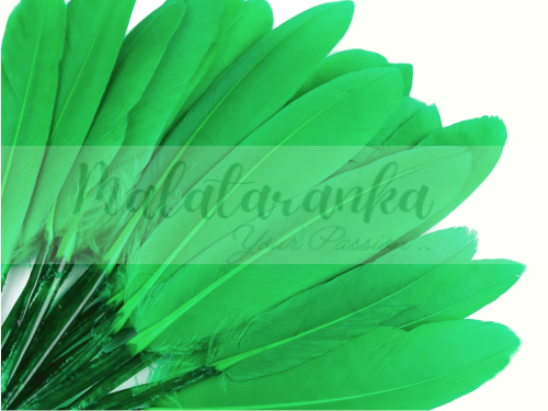 Pióra lotki kacze 9-14 cm ZIELONY apple 10 szt