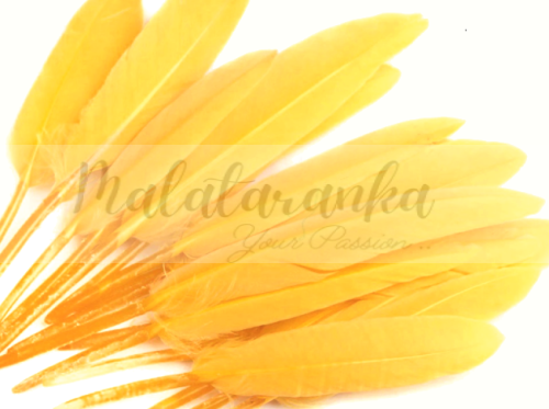 Pióra lotki kacze 9-14 cm CIEMNO ŻÓŁTY 10 szt