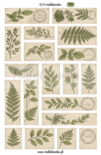 Arkusz etykiet vintage, w stylu stary herbarium, dziennik botaniczny, etykiety roslinne do plannera bulletjournal