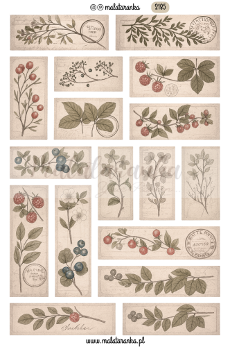 Arkusz etykiet vintage, w stylu stary herbarium, dziennik botaniczny, etykiety roslinne do plannera bulletjournal