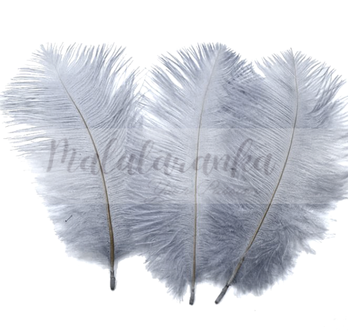Strusie pióra 12-15 cm SREBRNO SZARY 10 szt