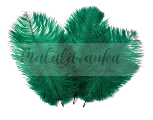 Strusie pióra 12-15 cm ZIELONY BUTELKOWY 10 szt