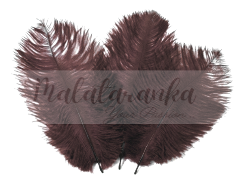Strusie pióra 12-15 cm BRĄZOWY 10 sz