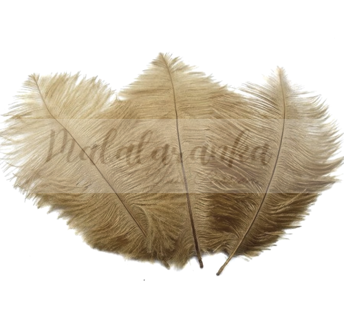Strusie pióra 12-15 cm BEŻOWY FANGO 10 szt