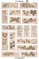 Naklejki etykiety vintage, w stylu stary herbarium, dziennik botaniczny, etykiety roslinne do plannera bulletjournal