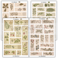 Naklejki etykiety vintage, w stylu stary herbarium, dziennik botaniczny, etykiety roslinne do plannera bulletjournal