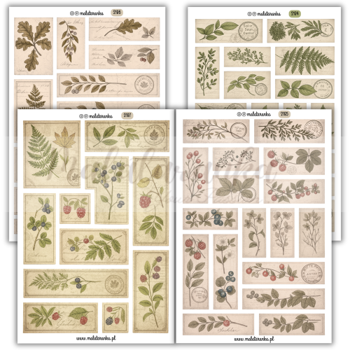 Naklejki etykiety vintage, w stylu stary herbarium, dziennik botaniczny, etykiety roslinne do plannera bulletjournal