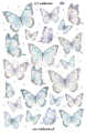 Naklejki zimowe Płatki śniegu Bałwany Motyle planner scrapbooking bujo