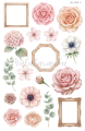 Naklejki botaniczne, kwiaty rośliny journaling scrapbooking planer