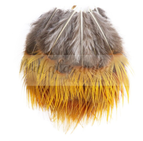 Bażant Argus Malajski pióra SZARE-ŻÓŁTE 10 szt