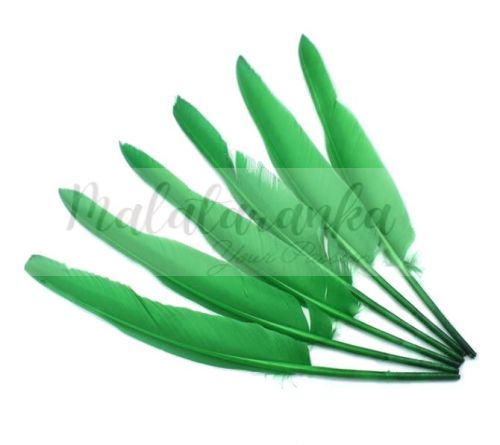 Pióra gęsi lotki Długie 30-35 cm ZIELONE