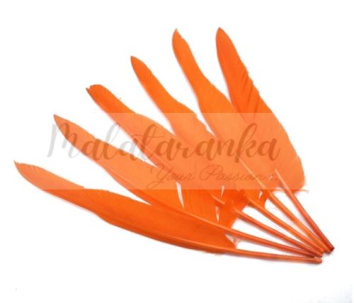Pióra gęsi lotki Długie 30-35 cm POMARAŃCZOWE