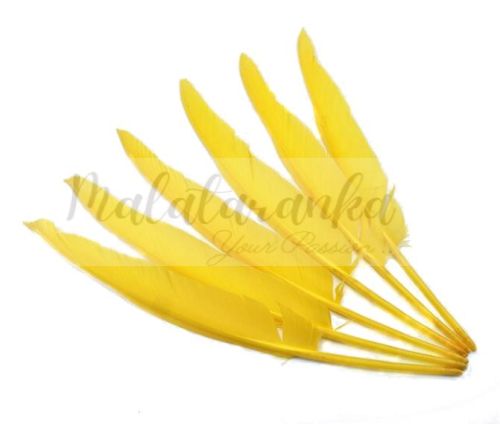 Pióra gęsie lotki Długie 30-35 cm CIEMNO ŻÓŁTE