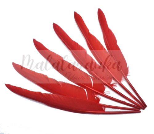 Pióra gęsie lotki Długie 30-35 cm CZERWONE