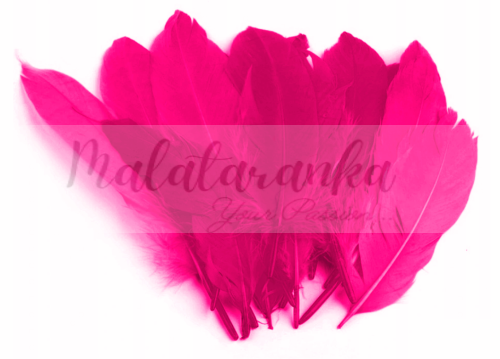 Pióra gęsi Lotki 13-18 cm RÓŻOWE NEONOWE