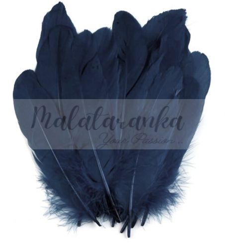 Pióra gęsie lotka 13-18 cm GRANATOWE