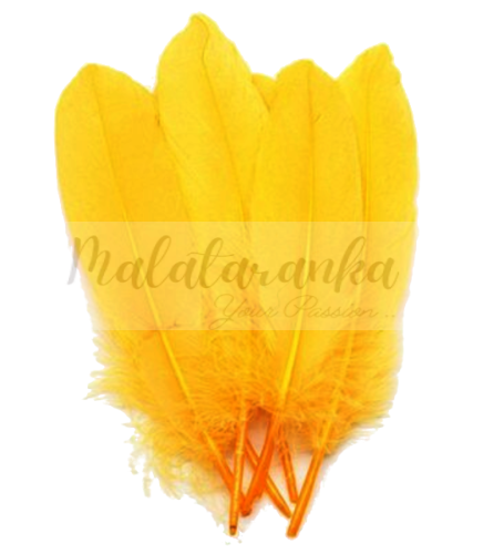 Pióra gęsie lotki 13-18 cm ŻÓŁTE CIEMNE