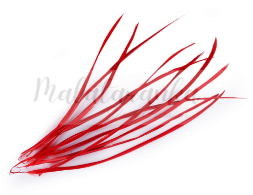 Pióra gęsie stosina 15-20 cm CZERWONE