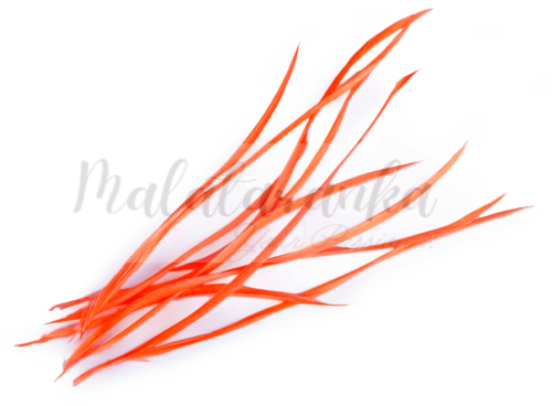 Pióra gęsi stosina 15-20 cm POMARAŃCZOWE