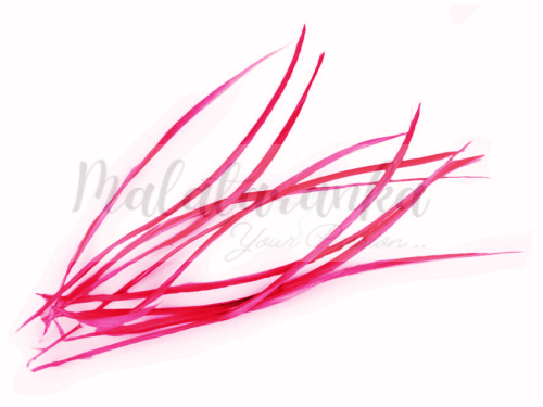 Pióra gęsie stosina 15-20 cm NEONOWY RÓŻ